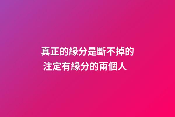 真正的緣分是斷不掉的 注定有緣分的兩個人